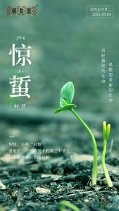 惊蛰 | 养生应顺肝之性，运动不过量，散步缓行即可